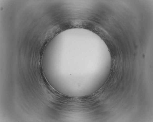 X0000088850702200706080726