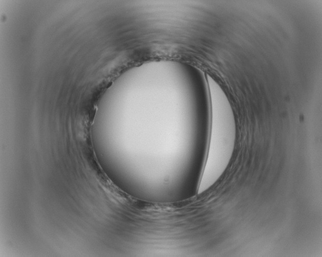 X0000088850712200706080725