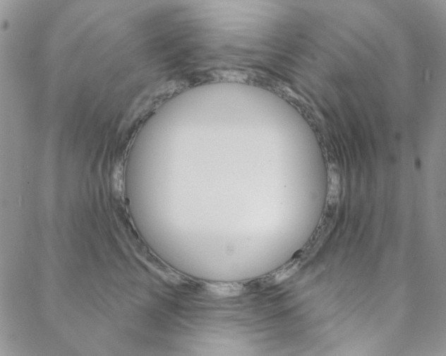 X0000088850713200706080725