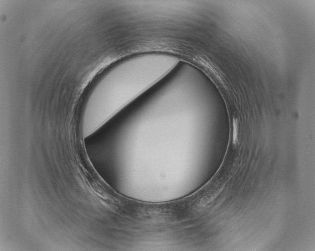 X0000088850723200706080725