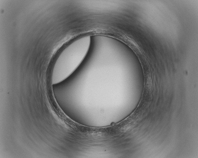 X0000088850730200706080725