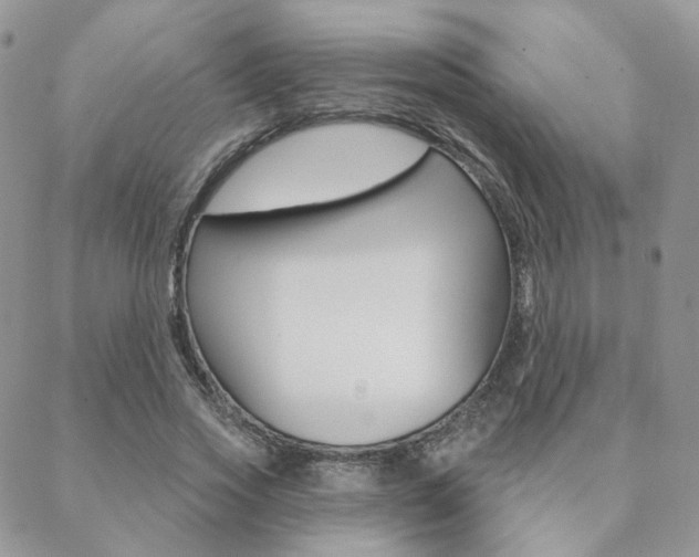 X0000088850733200706080725