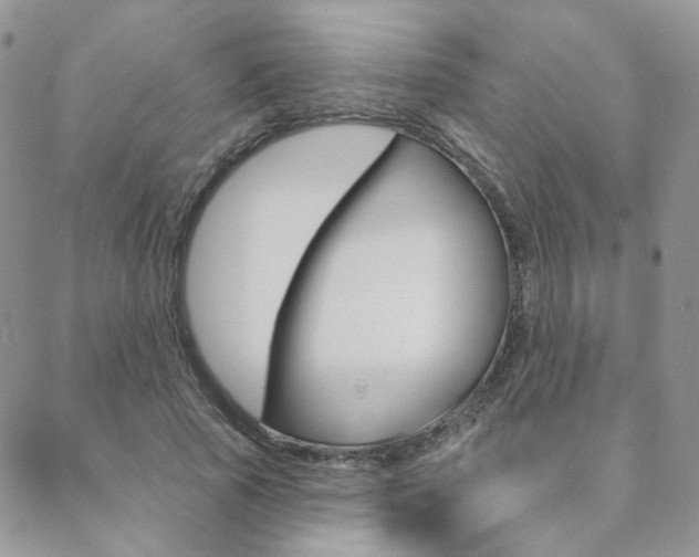 X0000088850737200706080725