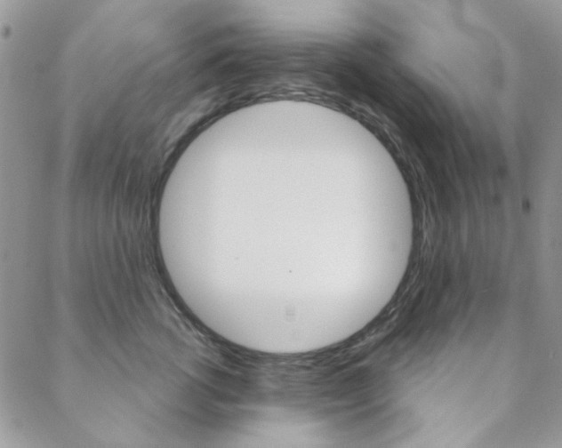 X0000088850762200706080725