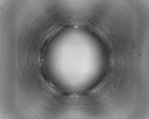 X0000088850764200706080725