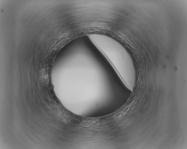 X0000088850771200706080725