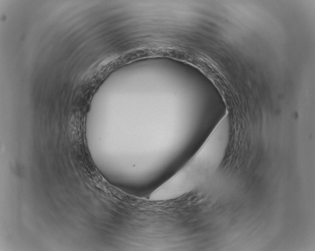 X0000088850773200706080724