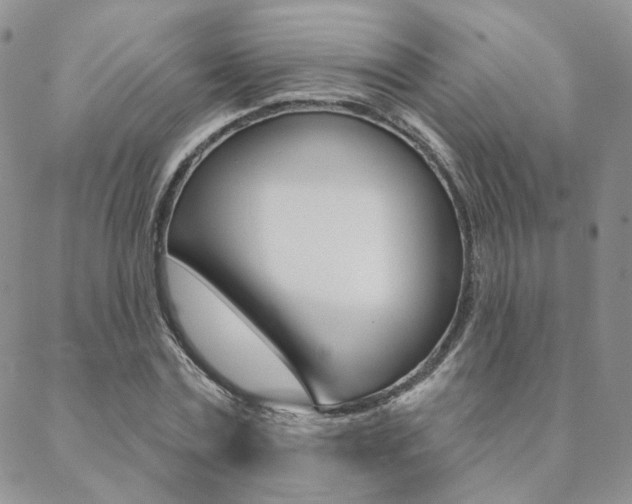 X0000088850779200706080724