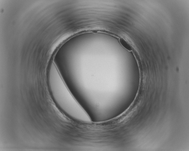 X0000088850789200706080724