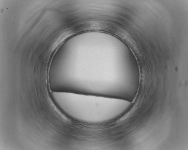 X0000088850794200706080724