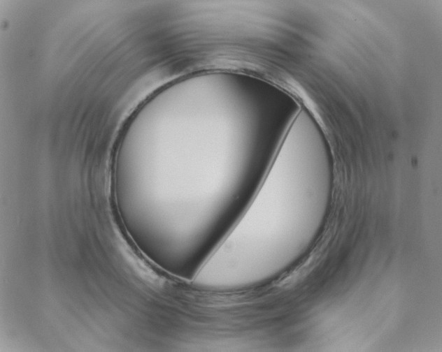 X0000088850795200706080724