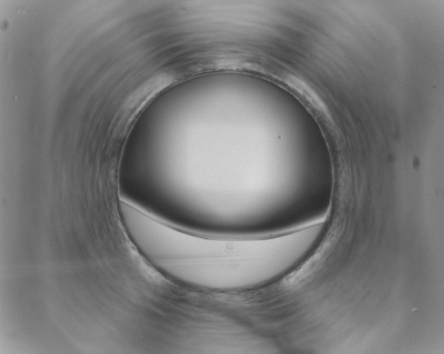 X0000088850801200706080724