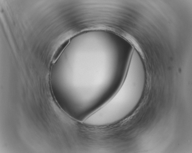 X0000088850805200706080724