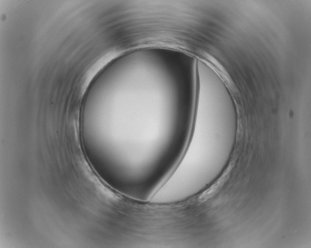 X0000088850812200706080724