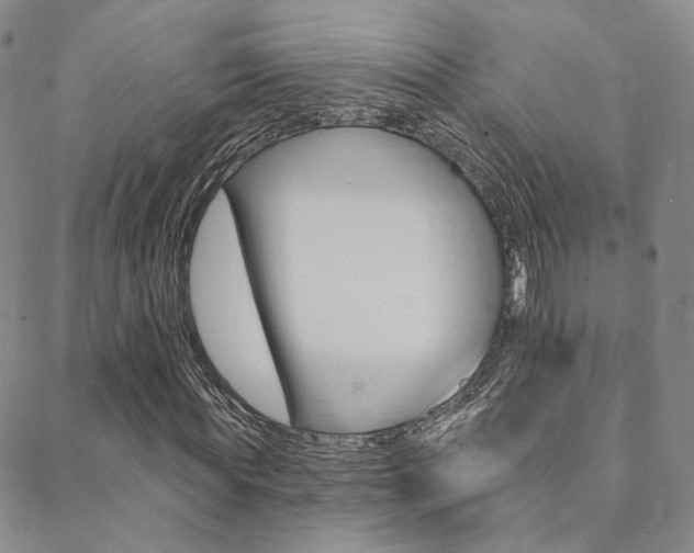 X0000088850819200706080723