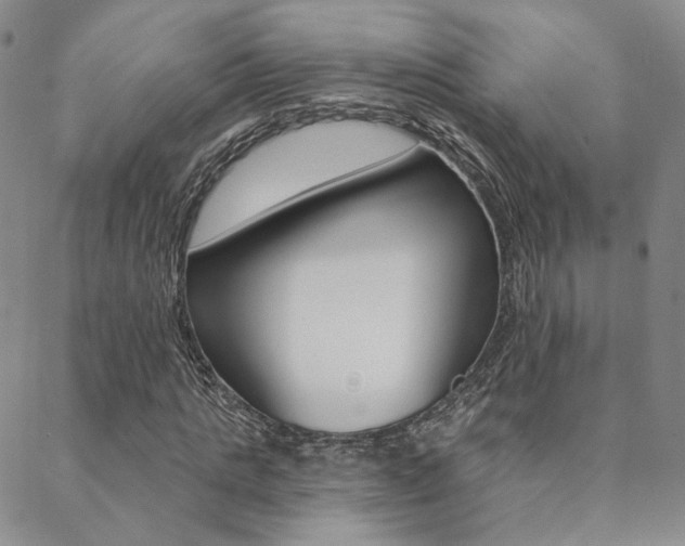X0000088850821200706080723