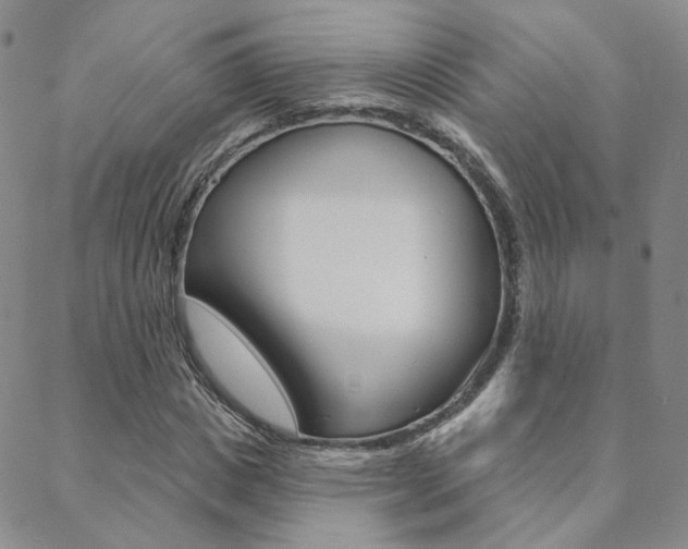 X0000088850825200706080723
