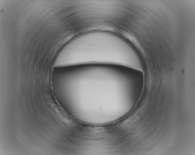 X0000088850833200706080723