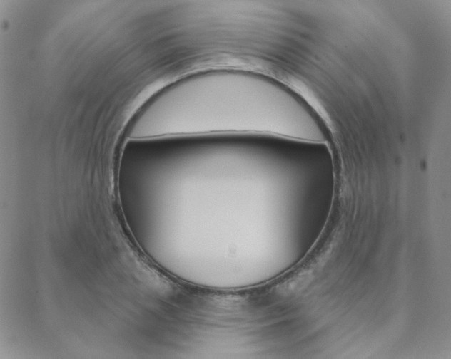X0000088850837200706080723