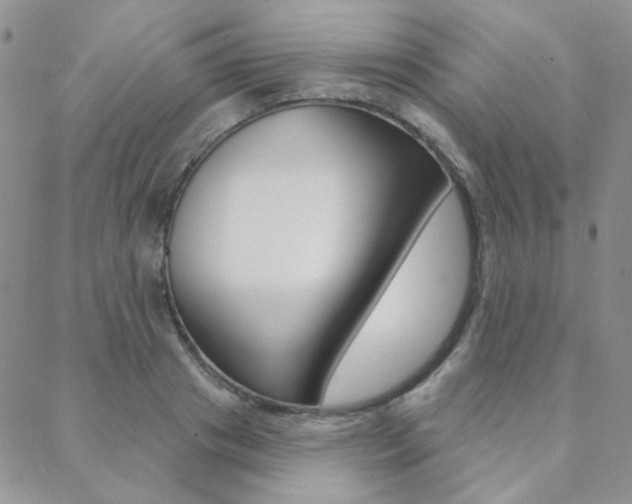 X0000088850841200706080723
