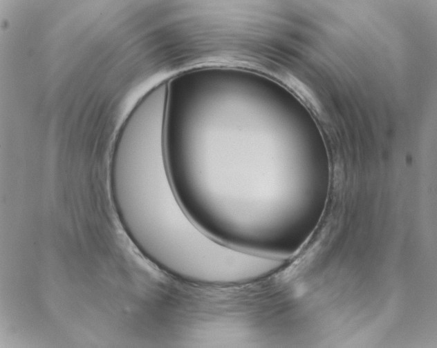 X0000088850854200706080724