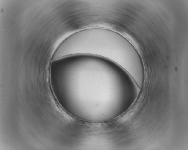 X0000088850862200706080724