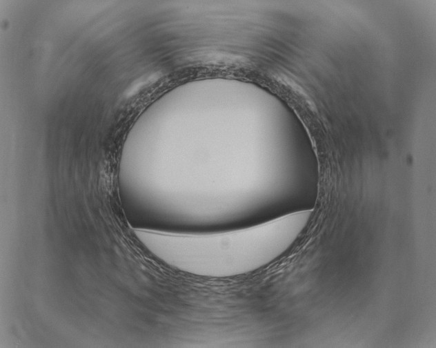X0000088850869200706080723