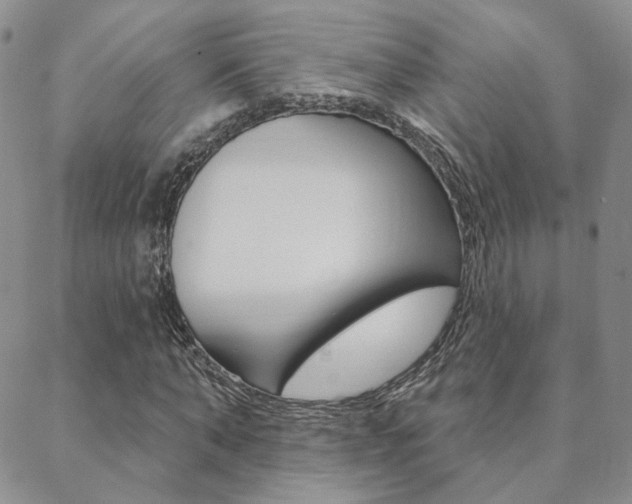 X0000088850870200706080723
