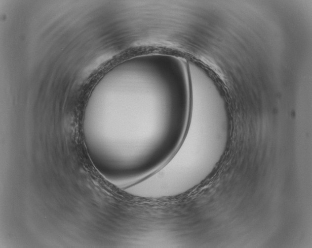 X0000088850872200706080723