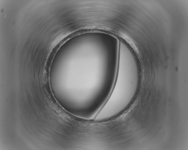 X0000088850876200706080723