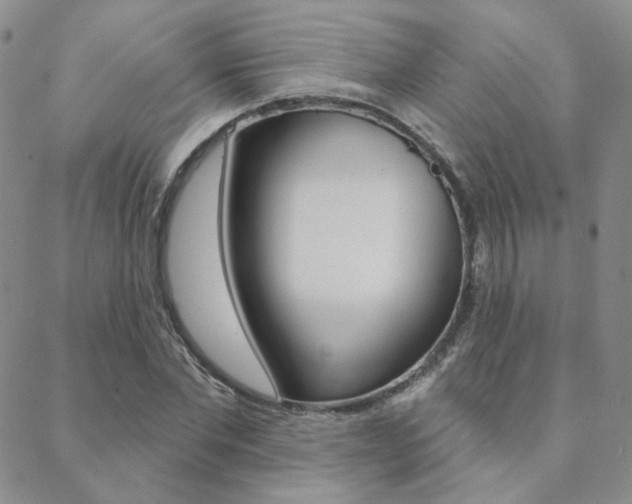 X0000088850877200706080723