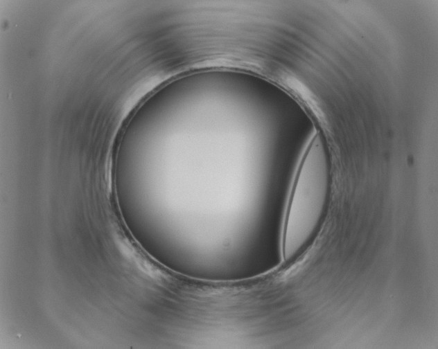 X0000088850892200706080723