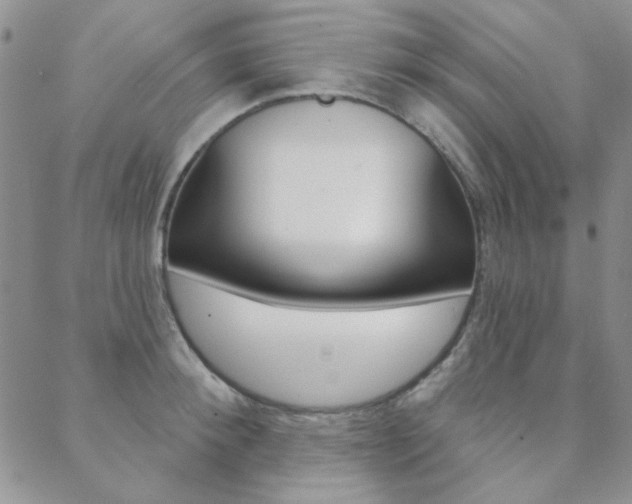 X0000088850900200706080722