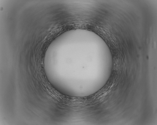 X0000088850913200706080721