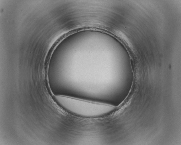 X0000088850924200706080722