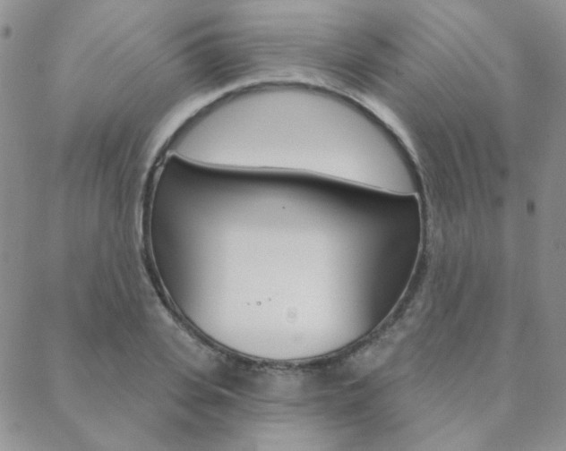 X0000088850935200706080722