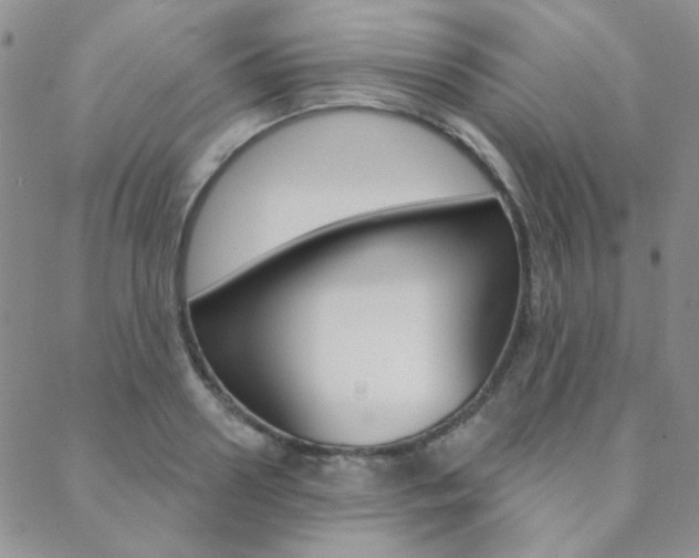 X0000088850938200706080722