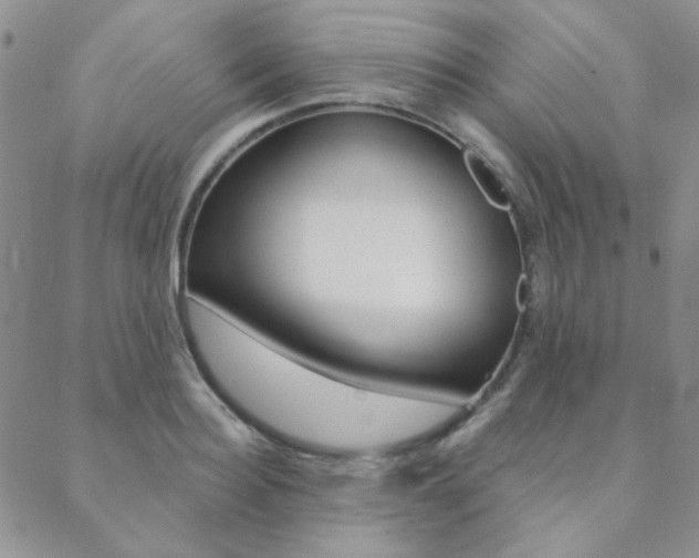 X0000088850940200706080722