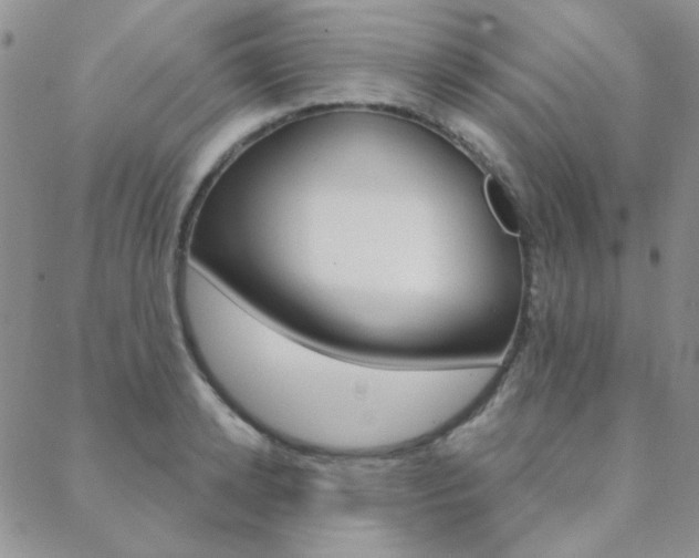 X0000088850942200706080722