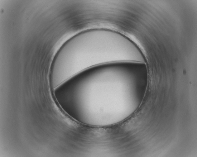 X0000088850943200706080722