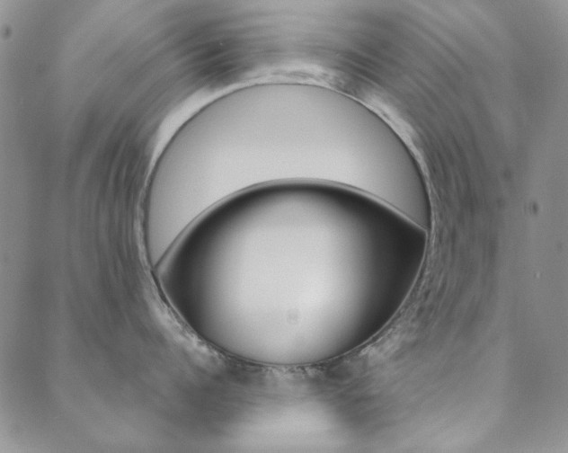 X0000088850960200706080722