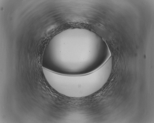 X0000088850965200706080721
