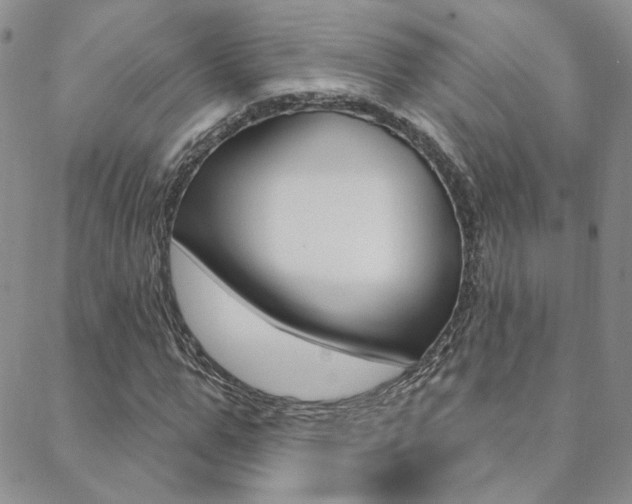 X0000088850967200706080721