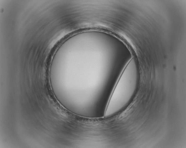 X0000088850975200706080721