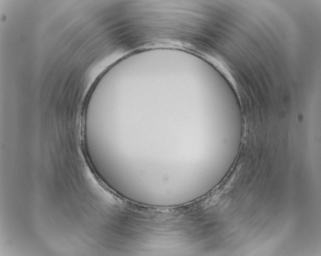X0000088851003200706080721