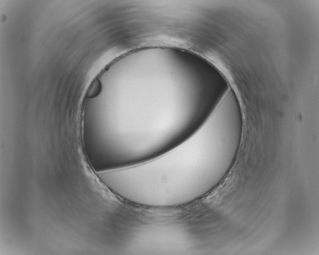X0000088851008200706080721