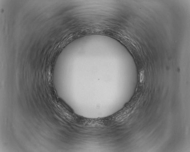 X0000088851011200706080720