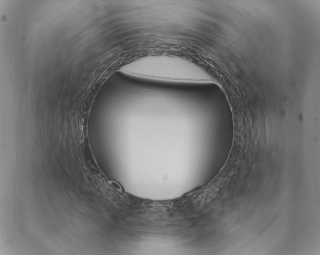 X0000088851013200706080720