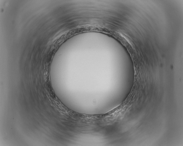 X0000088851015200706080720