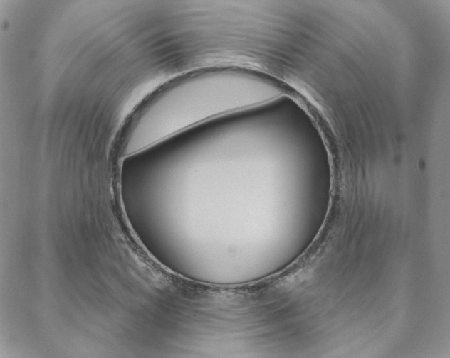 X0000088851022200706080720